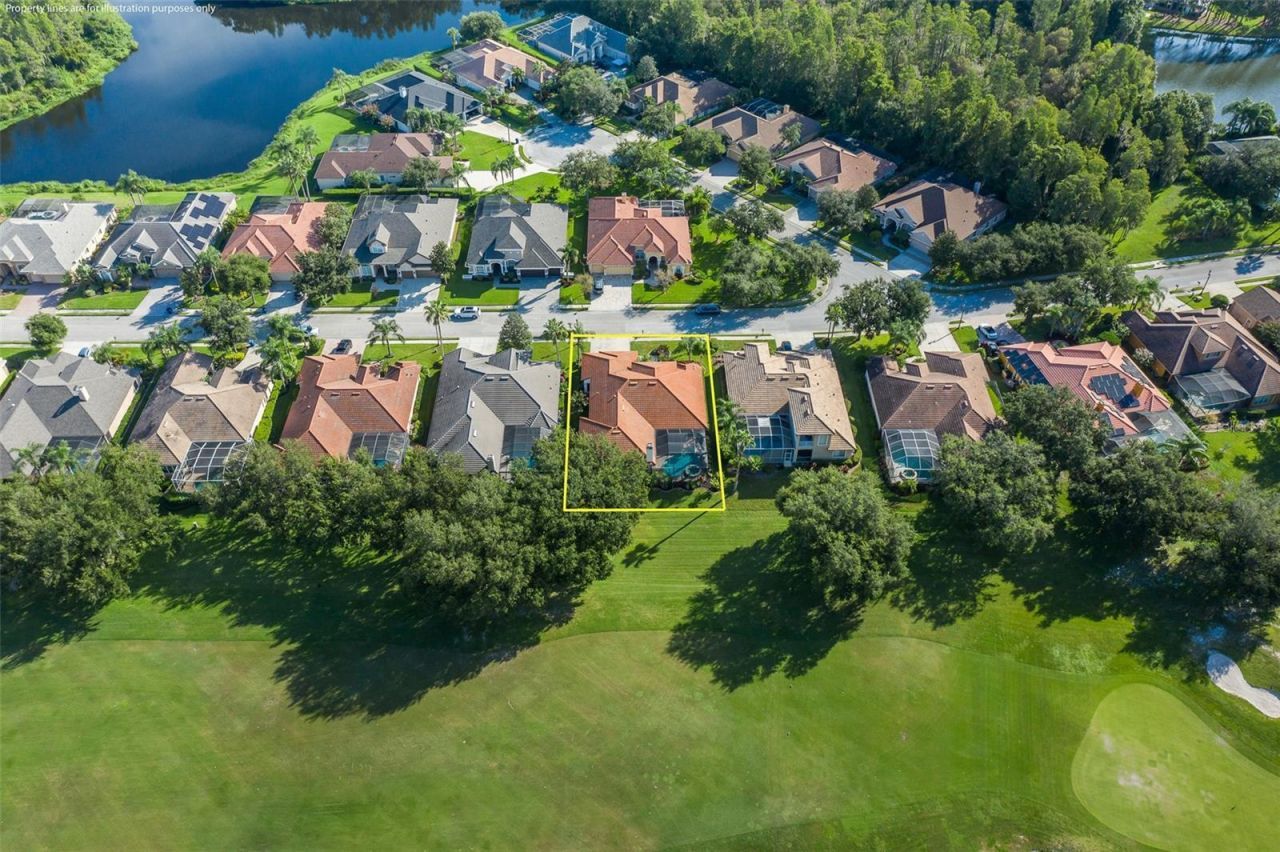 1429 El Pardo Drive, Trinity, FL 34655 Photo