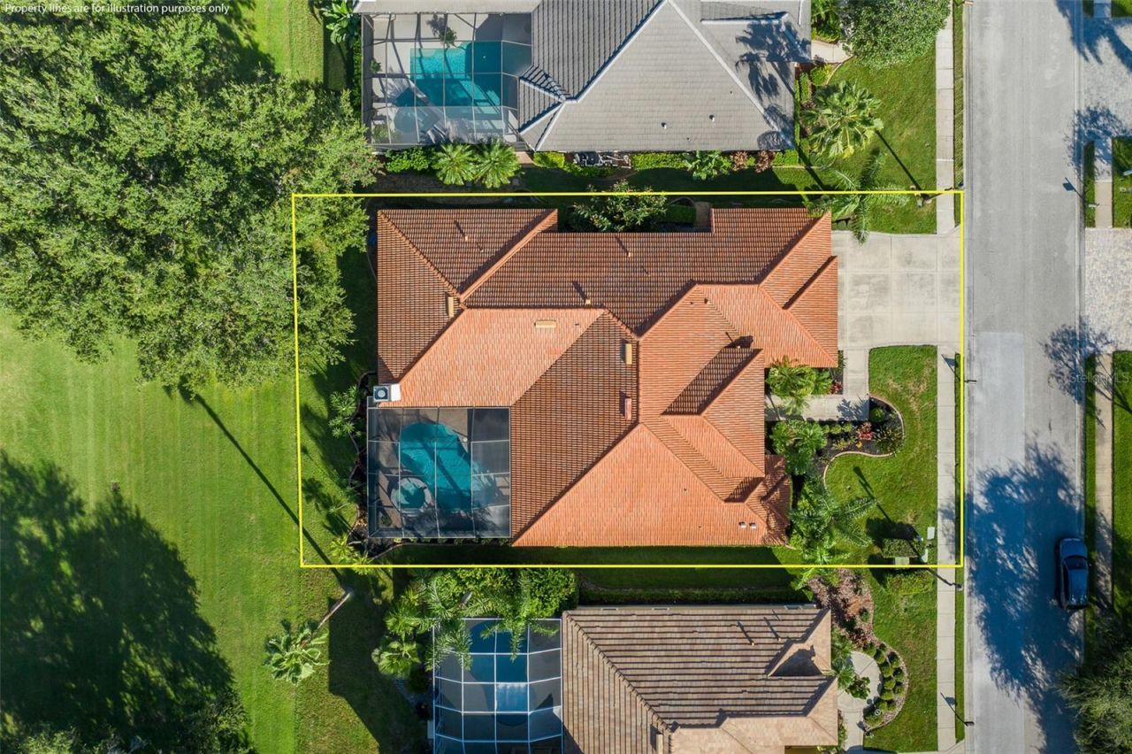 1429 El Pardo Drive, Trinity, FL 34655 Photo