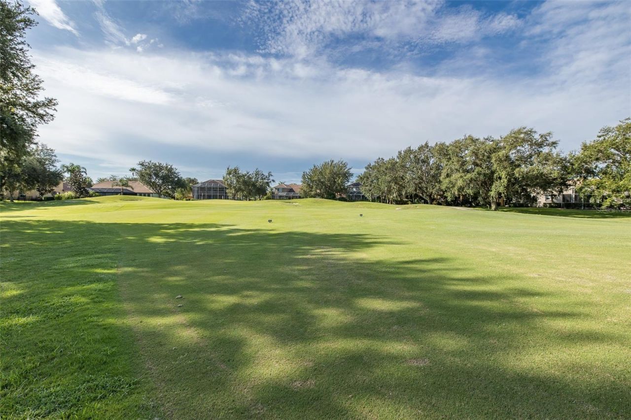 1429 El Pardo Drive, Trinity, FL 34655 Photo