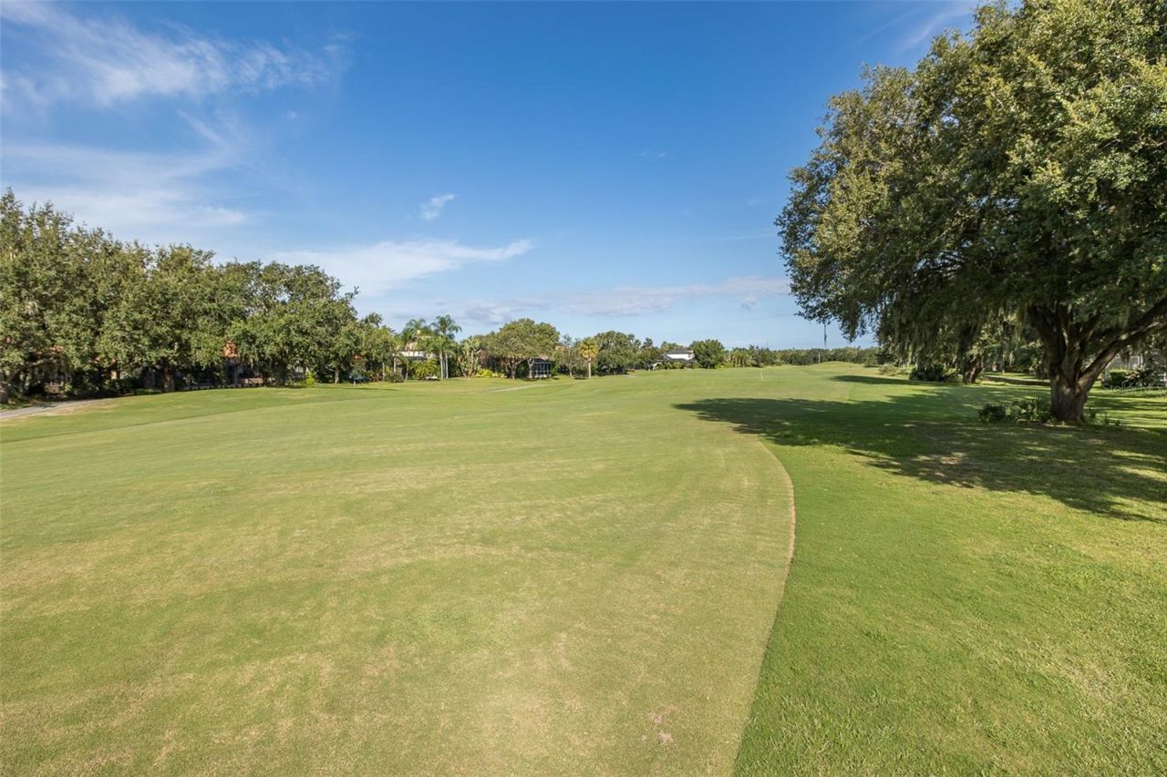 1429 El Pardo Drive, Trinity, FL 34655 Photo