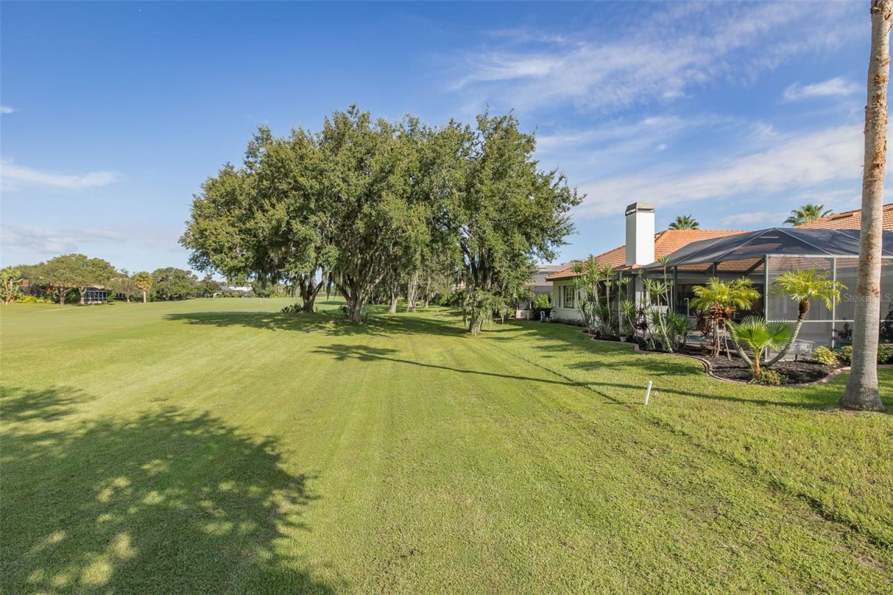 1429 El Pardo Drive, Trinity, FL 34655 Photo