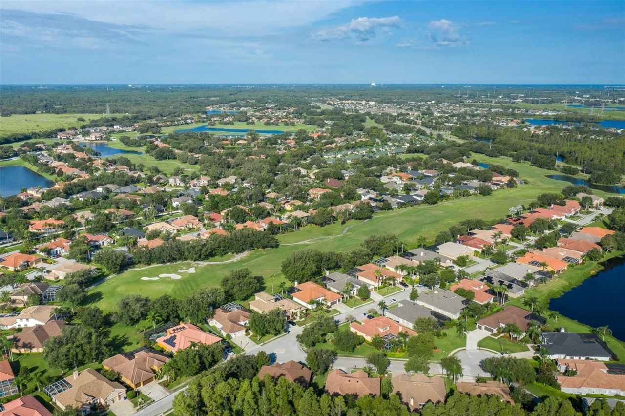 1429 El Pardo Drive, Trinity, FL 34655 Photo