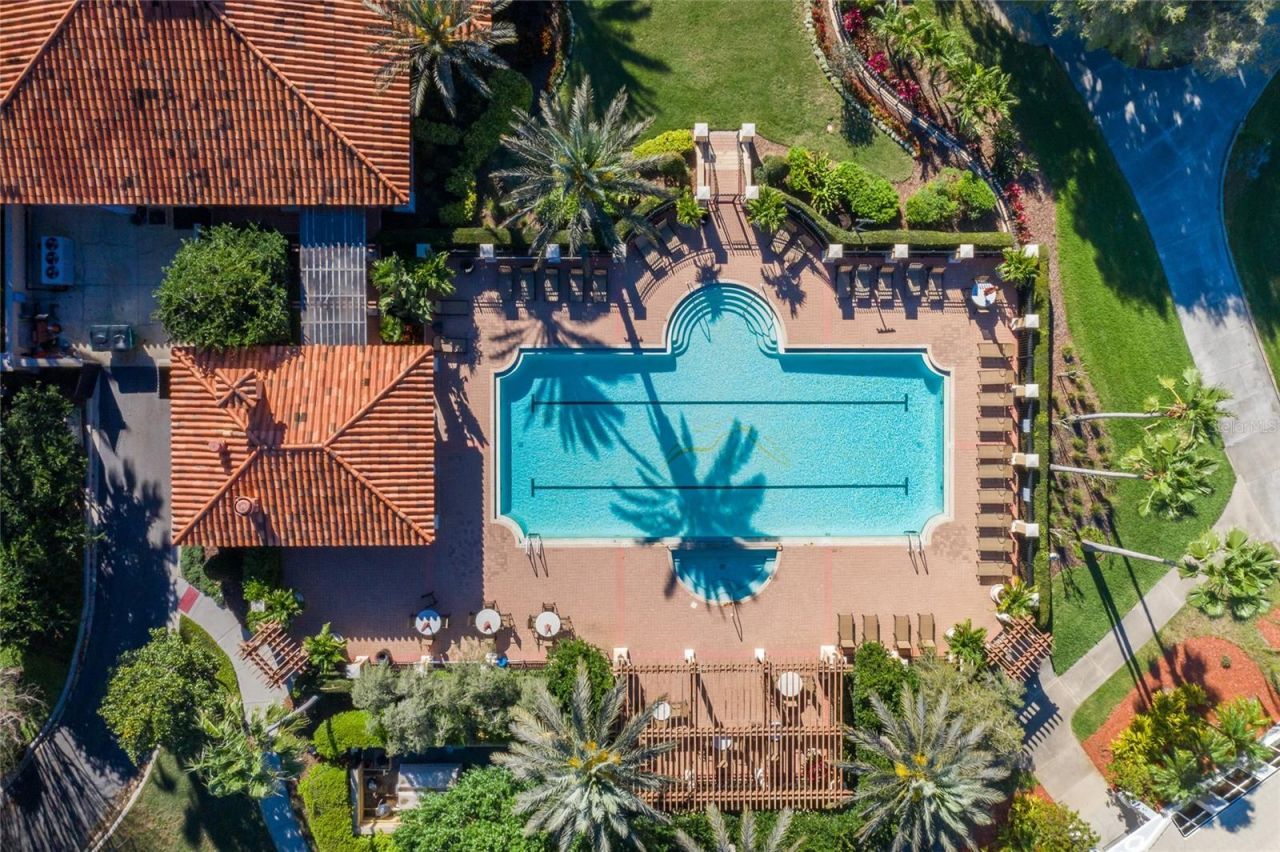 1429 El Pardo Drive, Trinity, FL 34655 Photo