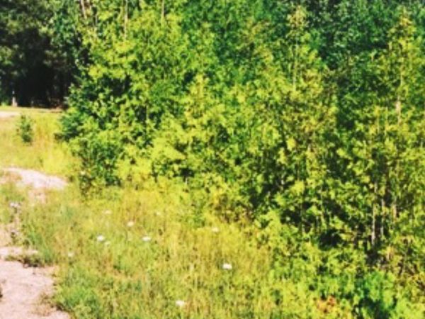 0000 grace harbor Road, Millersburg, MI 49765