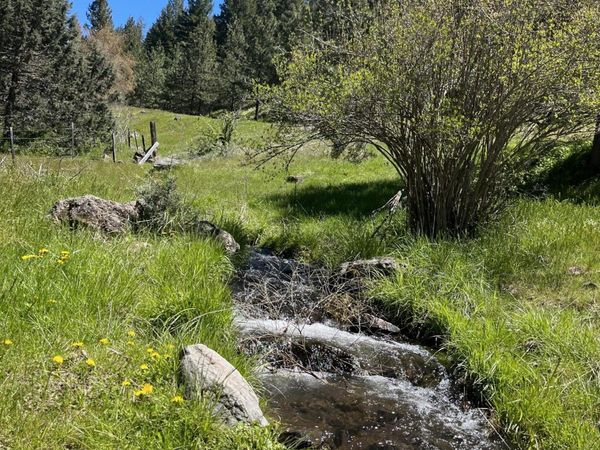 Cummings Creek Road, Mount Vernon, OR 97865