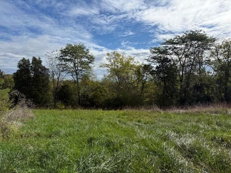 Lot 7 KY Hwy 491, Demossville, KY 41033 Photo 1