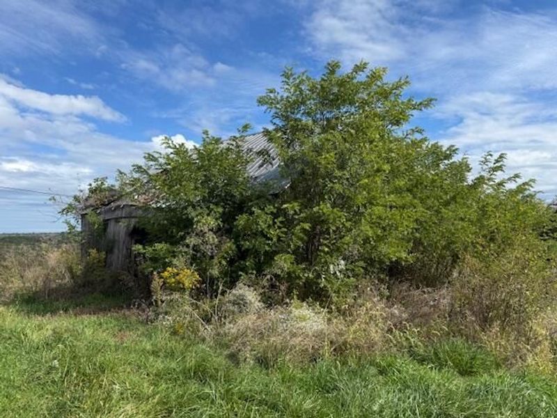 Lot 7 KY Hwy 491, Demossville, KY 41033 Photo 10