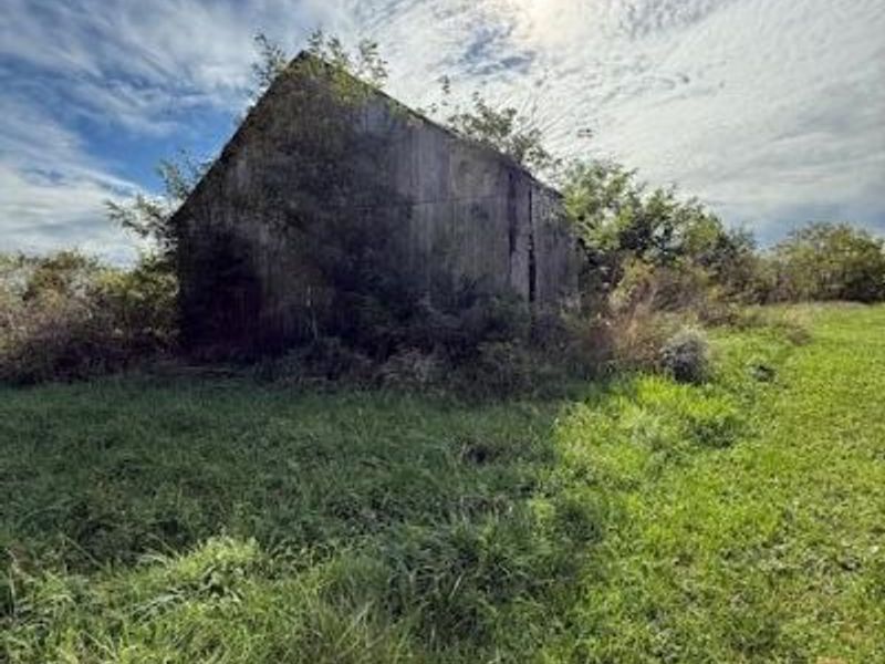 Lot 7 KY Hwy 491, Demossville, KY 41033 Photo 2