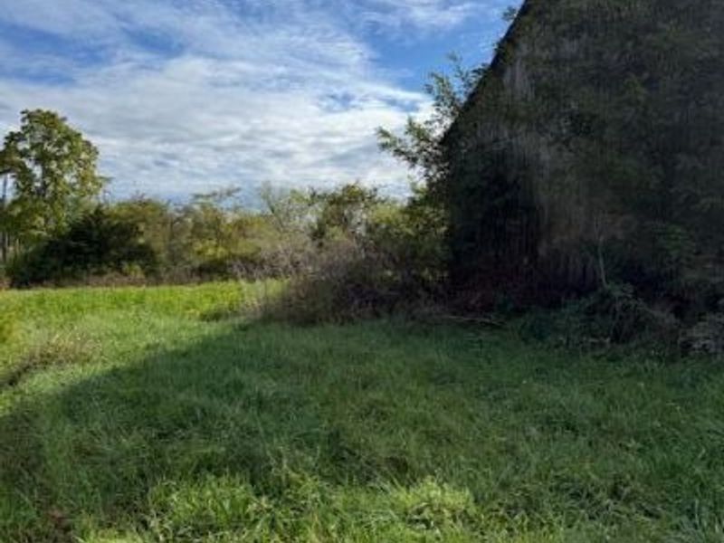 Lot 7 KY Hwy 491, Demossville, KY 41033 Photo 4