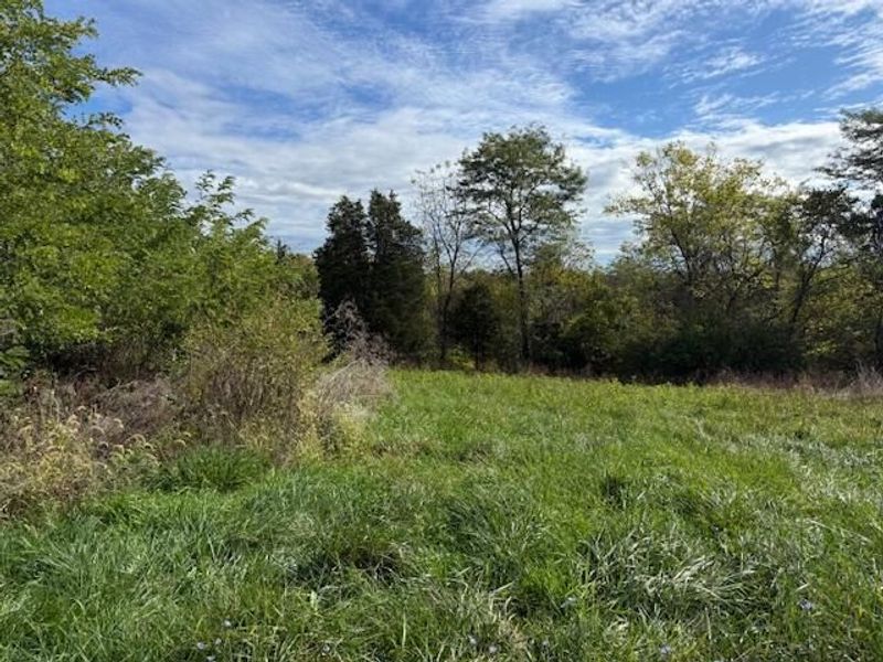 Lot 7 KY Hwy 491, Demossville, KY 41033 Photo 7