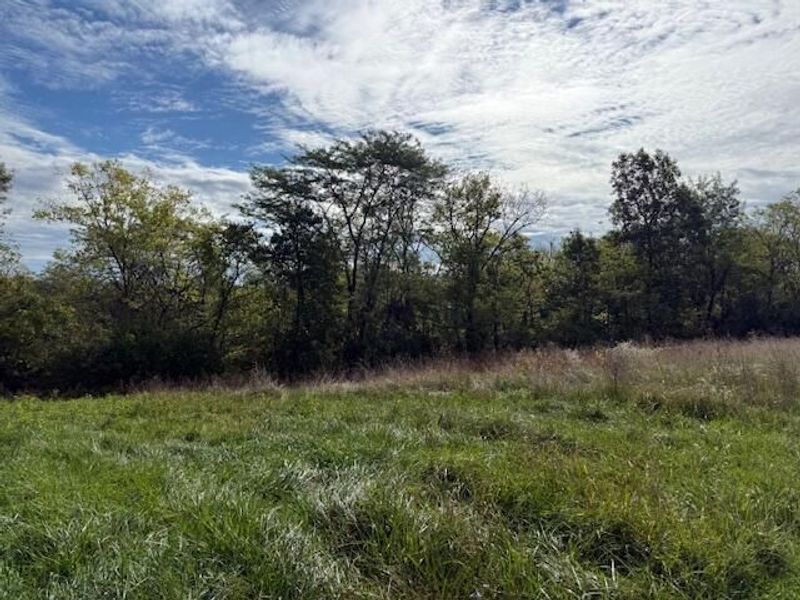 Lot 7 KY Hwy 491, Demossville, KY 41033 Photo 9