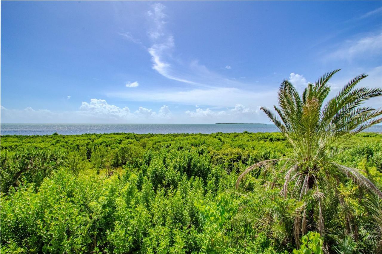 500 Burton Drive, Unit 4204, Tavernier, FL 33070 Photo