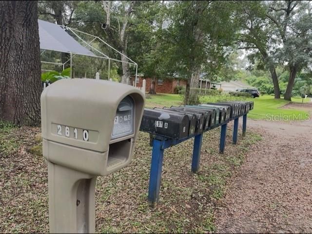 2610 SE 67th Street, Ocala, FL 34480 Photo