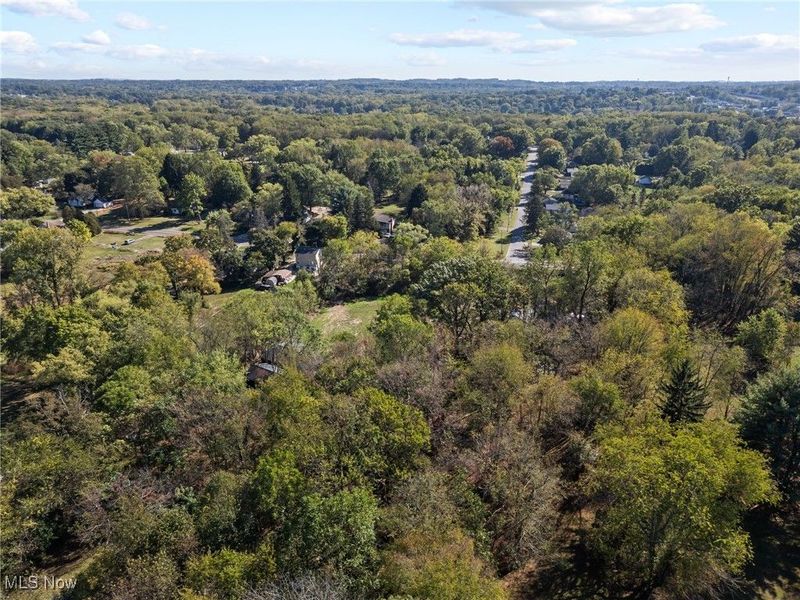 1043 Krumroy Road, Akron, OH 44306 Photo 40