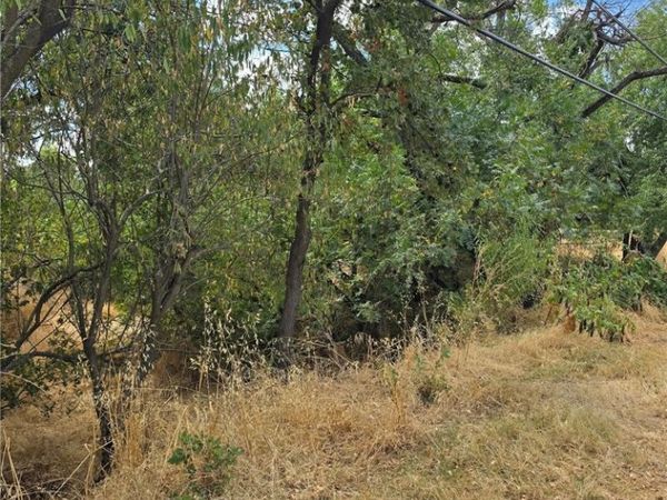 1466 Hammonton Smartsville Road, Linda, CA 95901