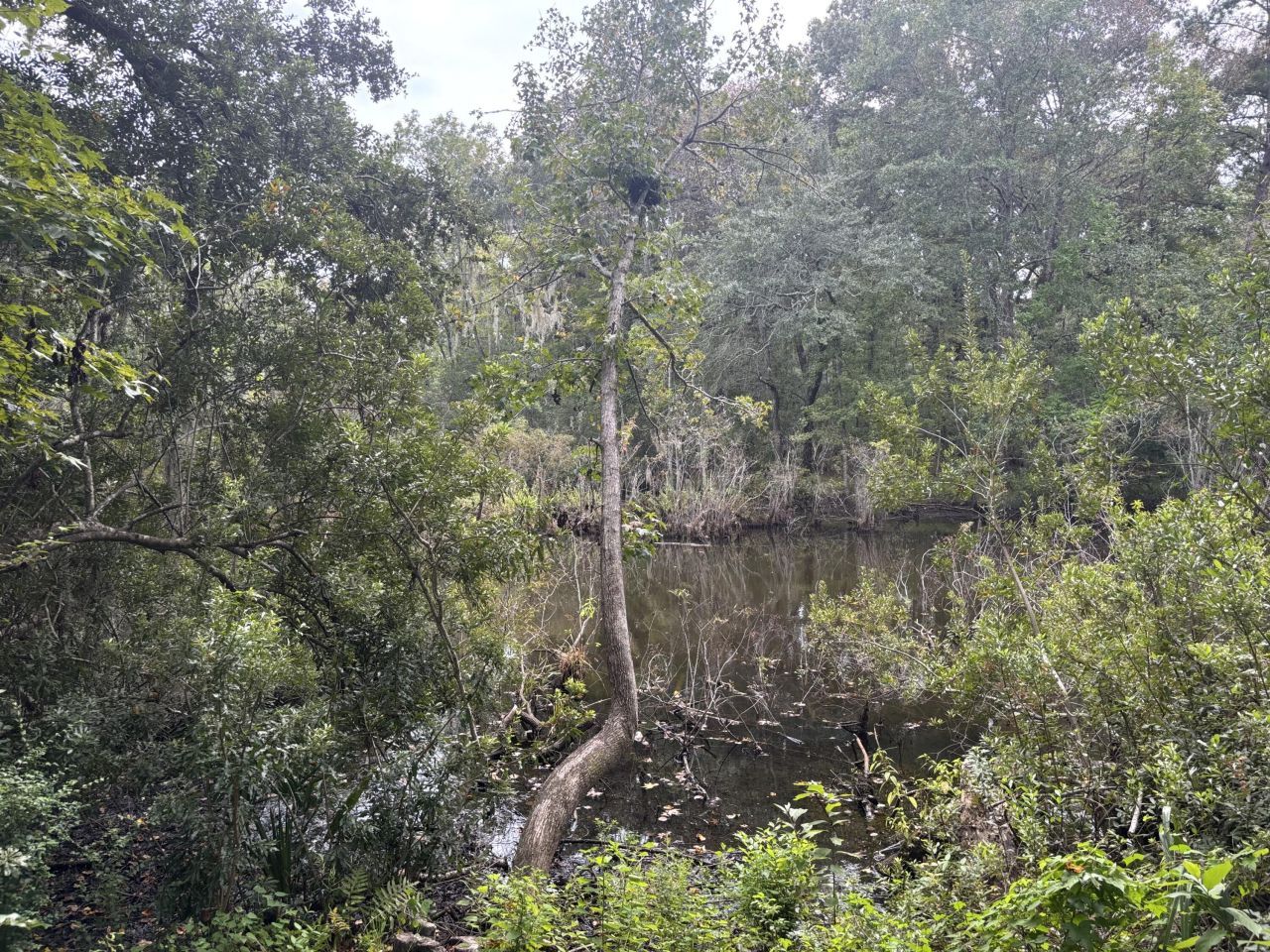 6061 Jacobs Point Boulevard Photo 7