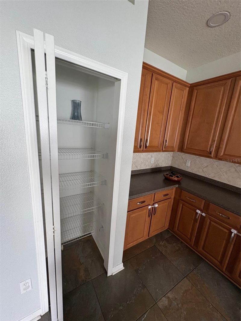9840 Jasmine Brook Circle, Land O Lakes, FL 34638 Photo