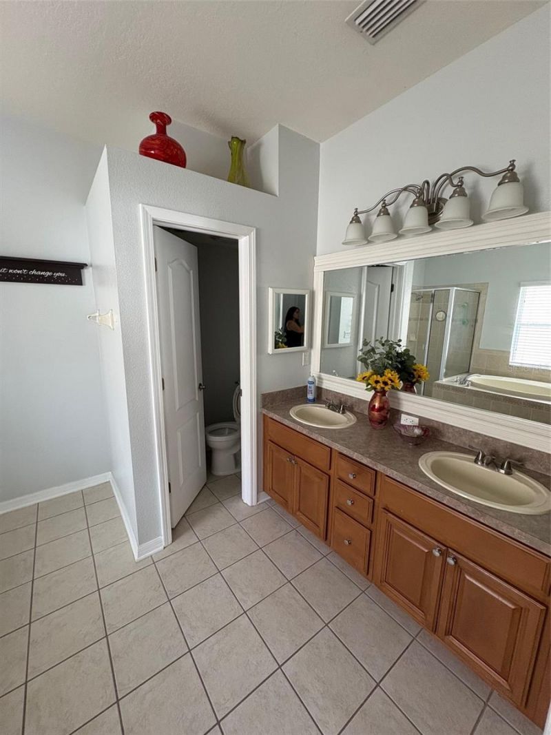 9840 Jasmine Brook Circle, Land O Lakes, FL 34638 Photo