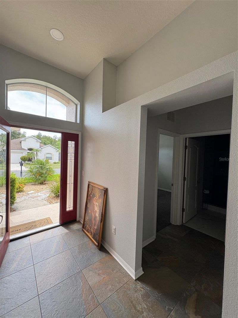 9840 Jasmine Brook Circle, Land O Lakes, FL 34638 Photo