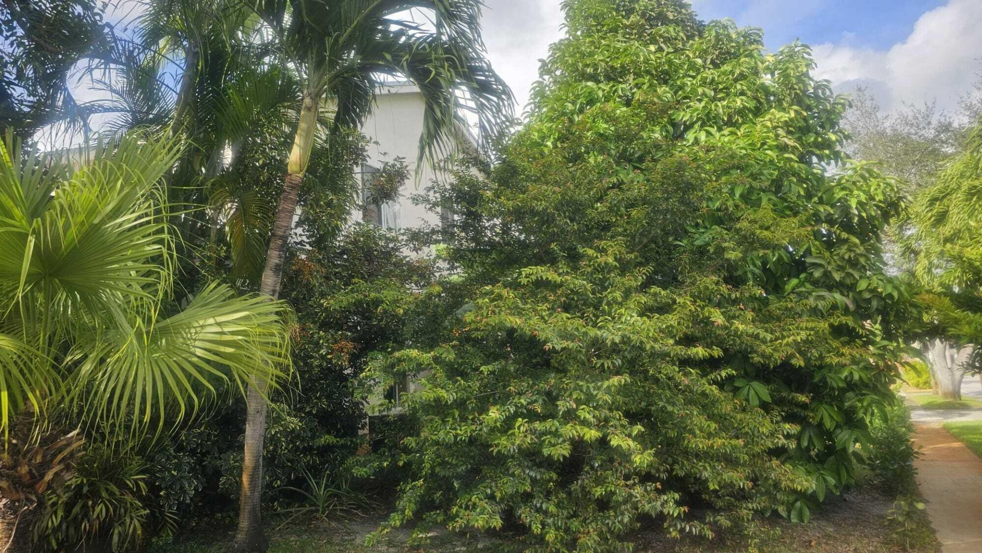 8741 SW 10th Street, Pembroke Pines, FL 33025 Photo