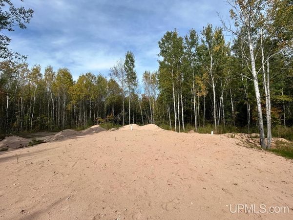 40 Acres Dalton Road, Skandia Twp, MI 49885