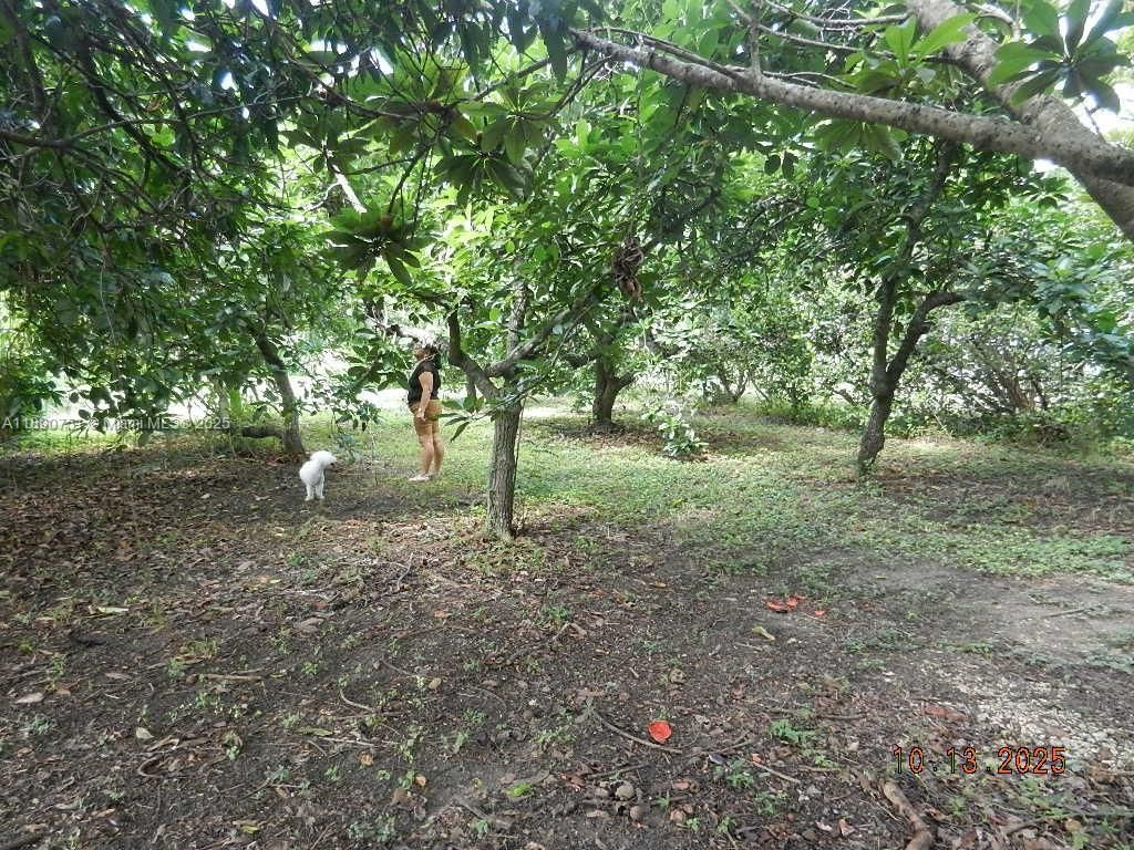 18760 SW 238th St, Homestead, FL 33031 Photo