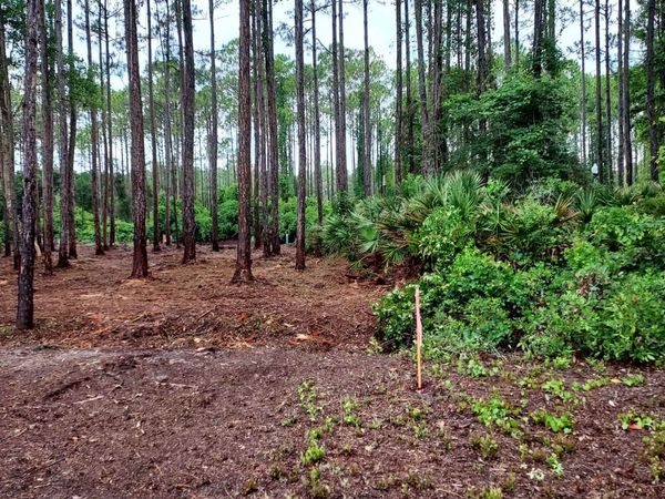 164 Royal Tern Way , Carrabelle, FL 32322