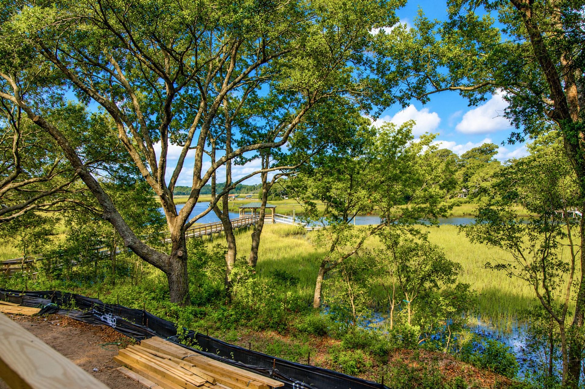 830 Curved Creek Court Photo 5