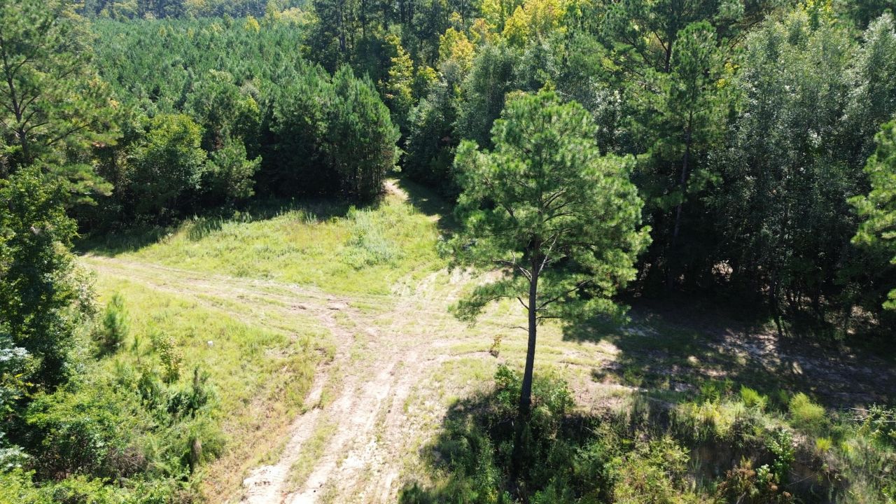 1 Lowcountry Highway Photo 1