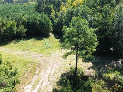 1 Lowcountry Highway, Ruffin, SC 29475