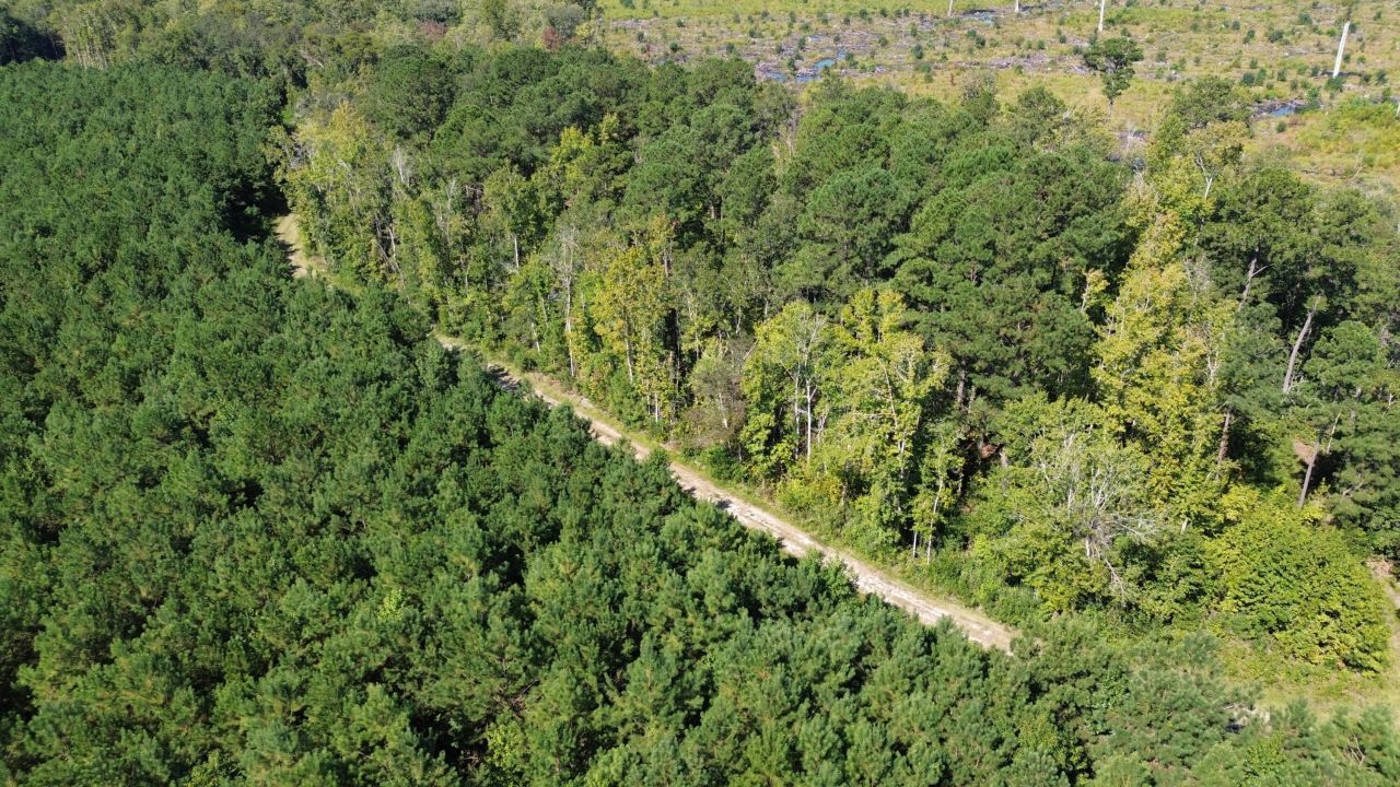 1 Lowcountry Highway Photo 12