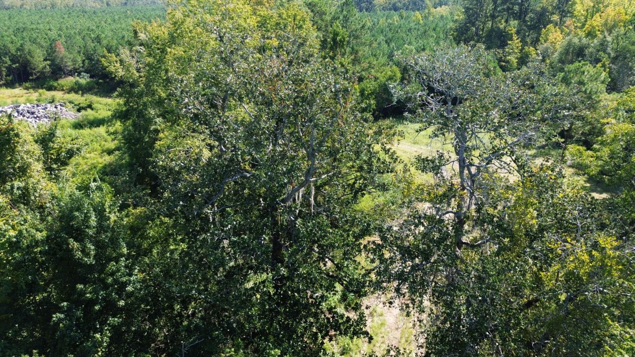 1 Lowcountry Highway Photo 13