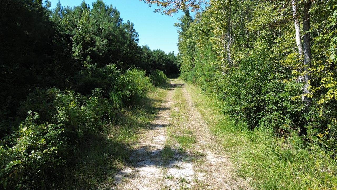 1 Lowcountry Highway Photo 2