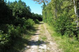 1 Lowcountry Highway photo 4