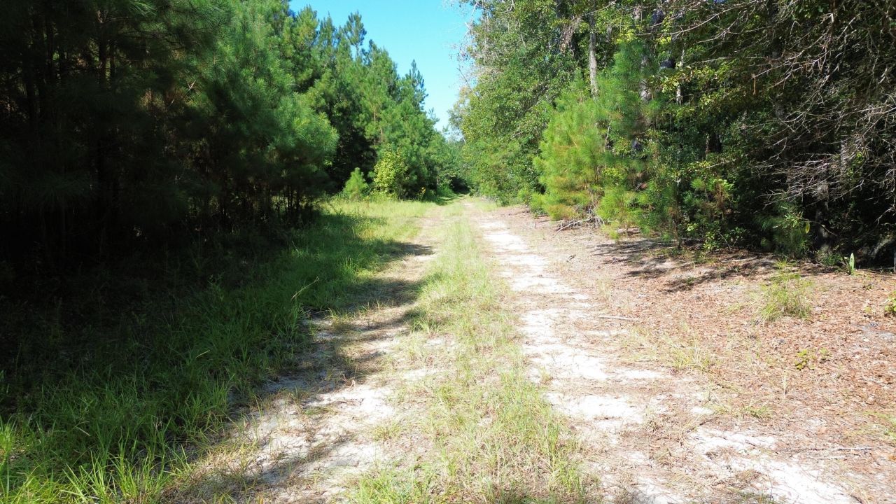 1 Lowcountry Highway Photo 20