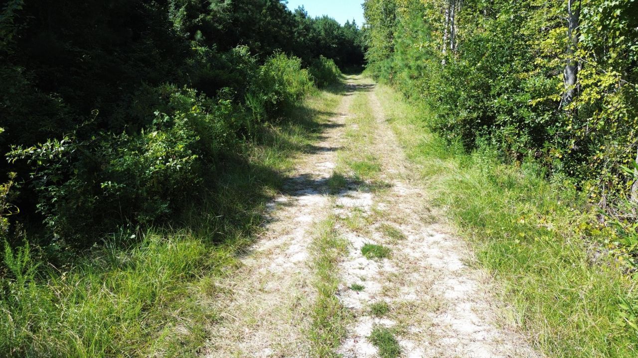 1 Lowcountry Highway Photo 21