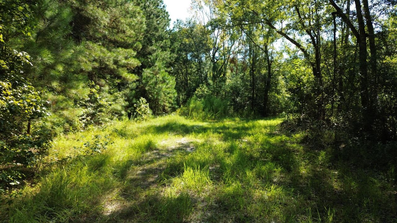 1 Lowcountry Highway Photo 25