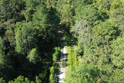 1 Lowcountry Highway photo 4