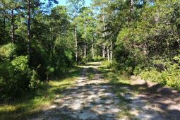 1 Lowcountry Highway photo 4