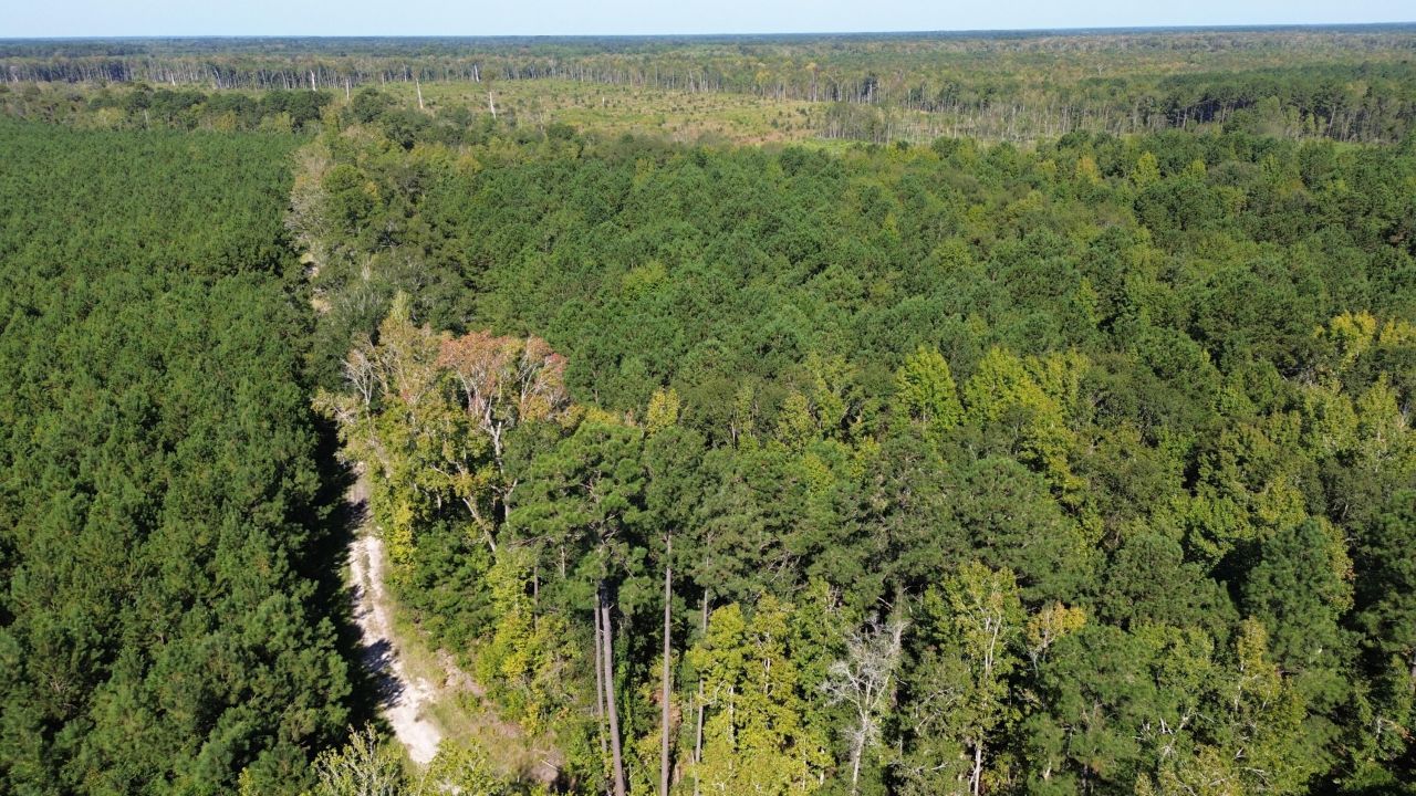 1 Lowcountry Highway Photo 6