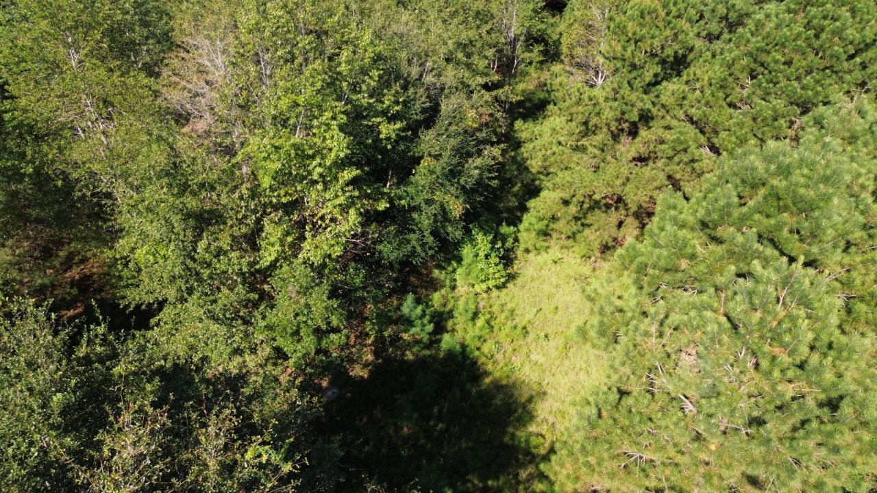 1 Lowcountry Highway Photo 8