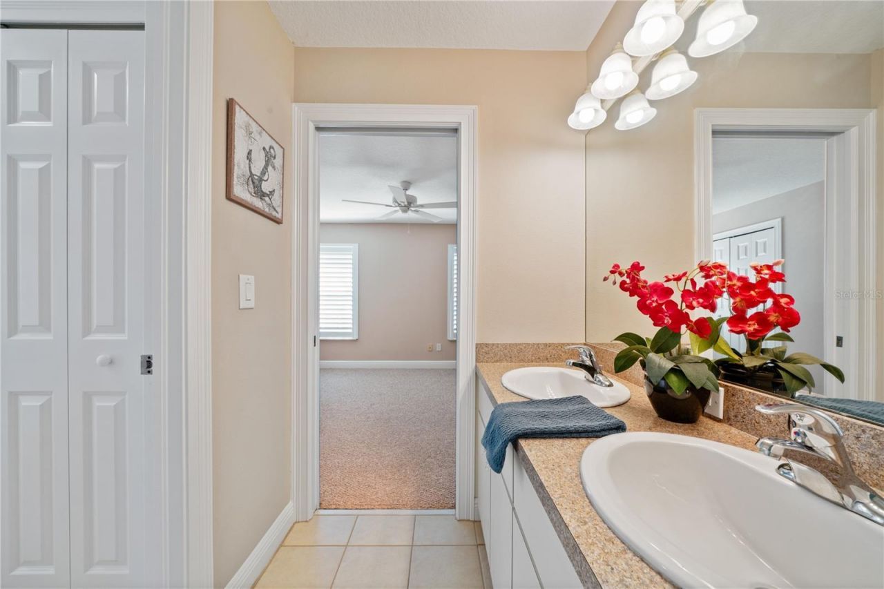 3106 Colonial Drive, Clearwater, FL 33759 Photo