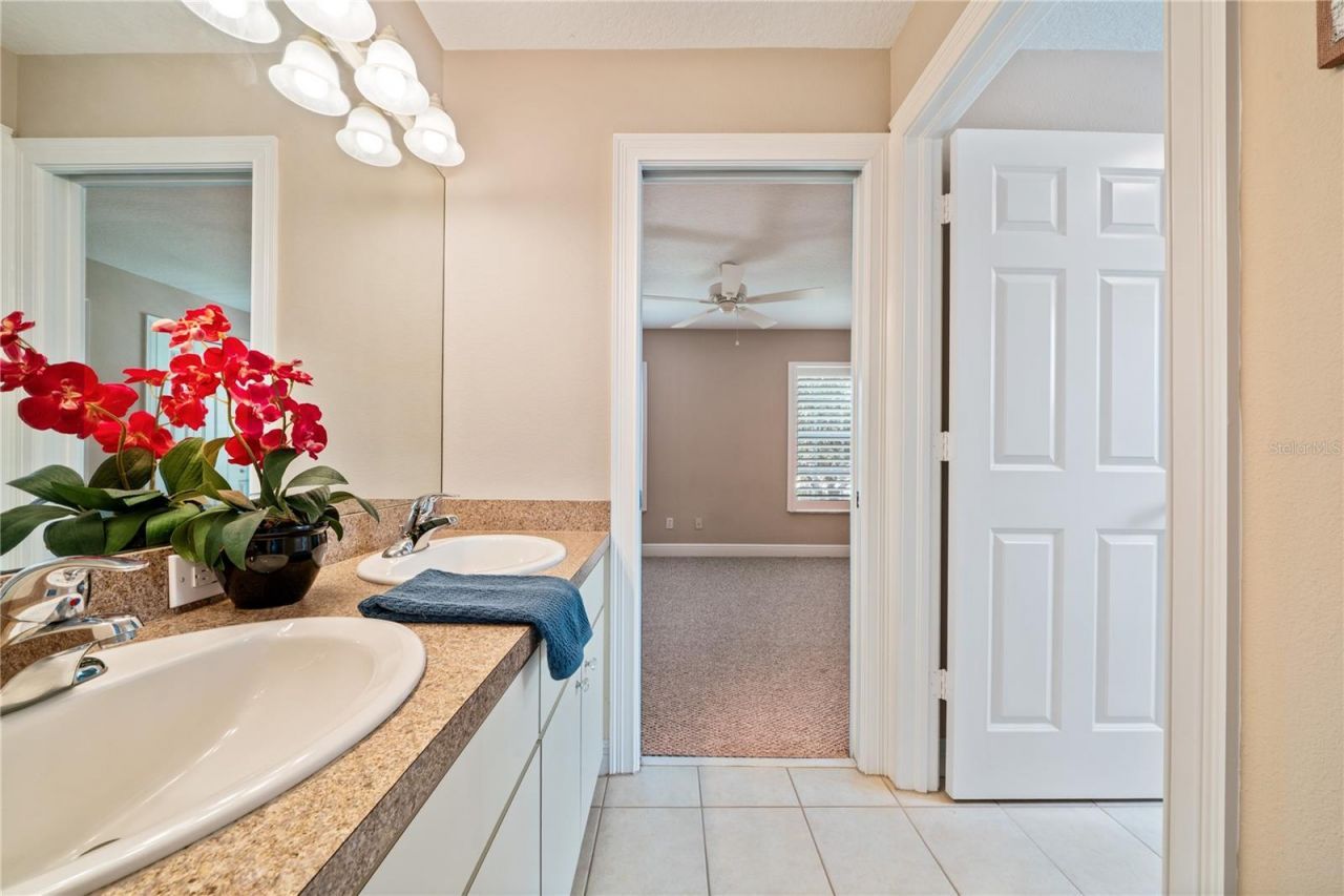 3106 Colonial Drive, Clearwater, FL 33759 Photo