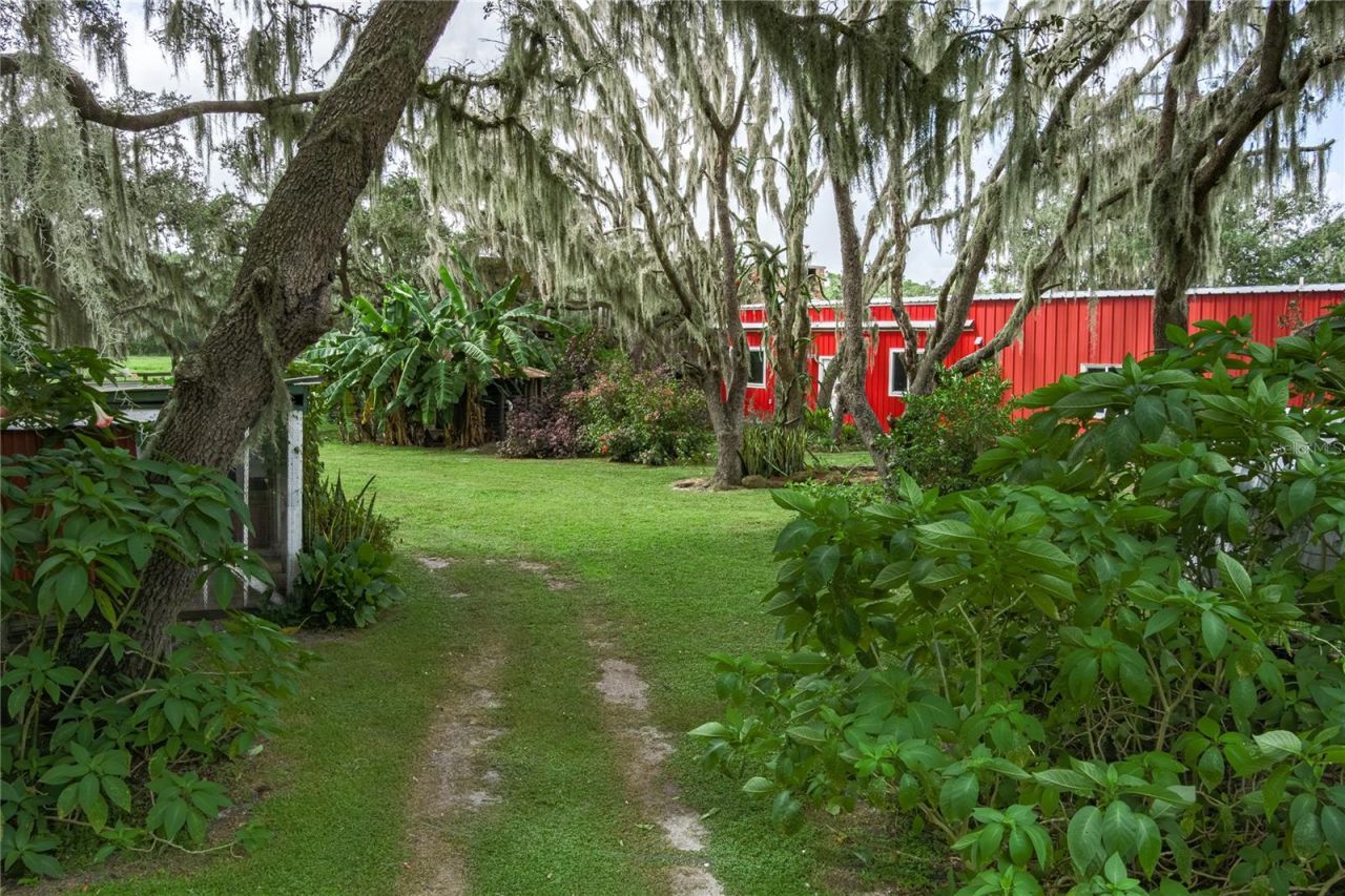 1126 & 1144 County Road 665, Ona, FL 33865 Photo