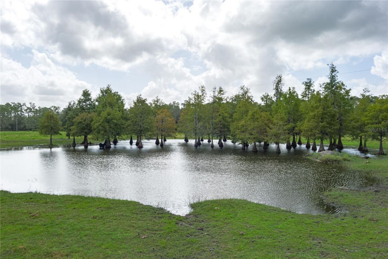 1126 & 1144 County Road 665, Ona, FL 33865 Photo