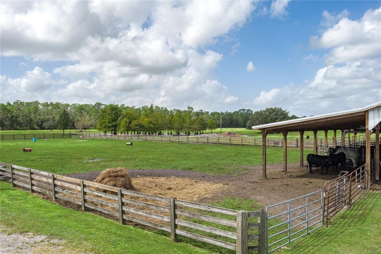 1126 & 1144 County Road 665, Ona, FL 33865 Photo