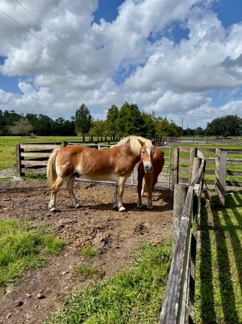 1126 & 1144 County Road 665, Ona, FL 33865 Photo