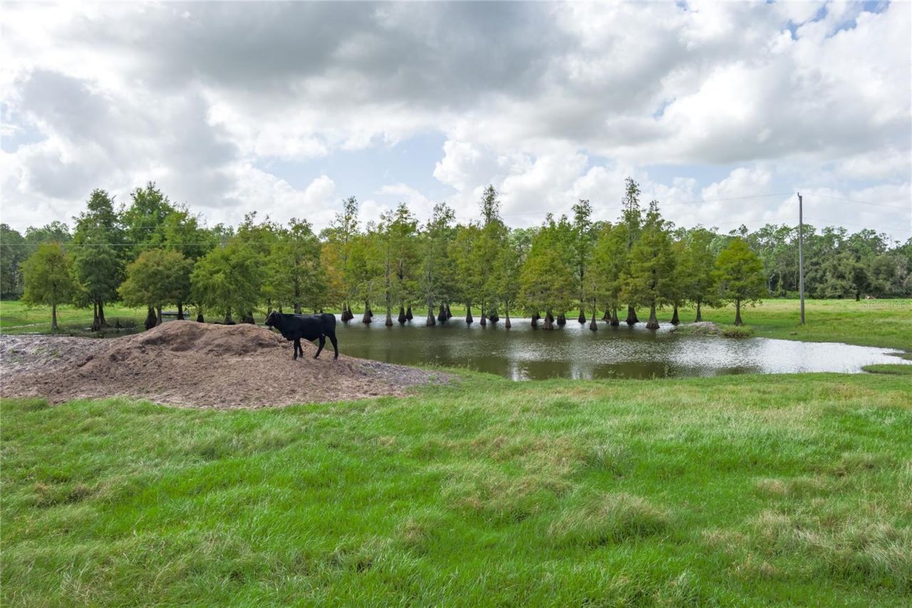 1126 & 1144 County Road 665, Ona, FL 33865 Photo