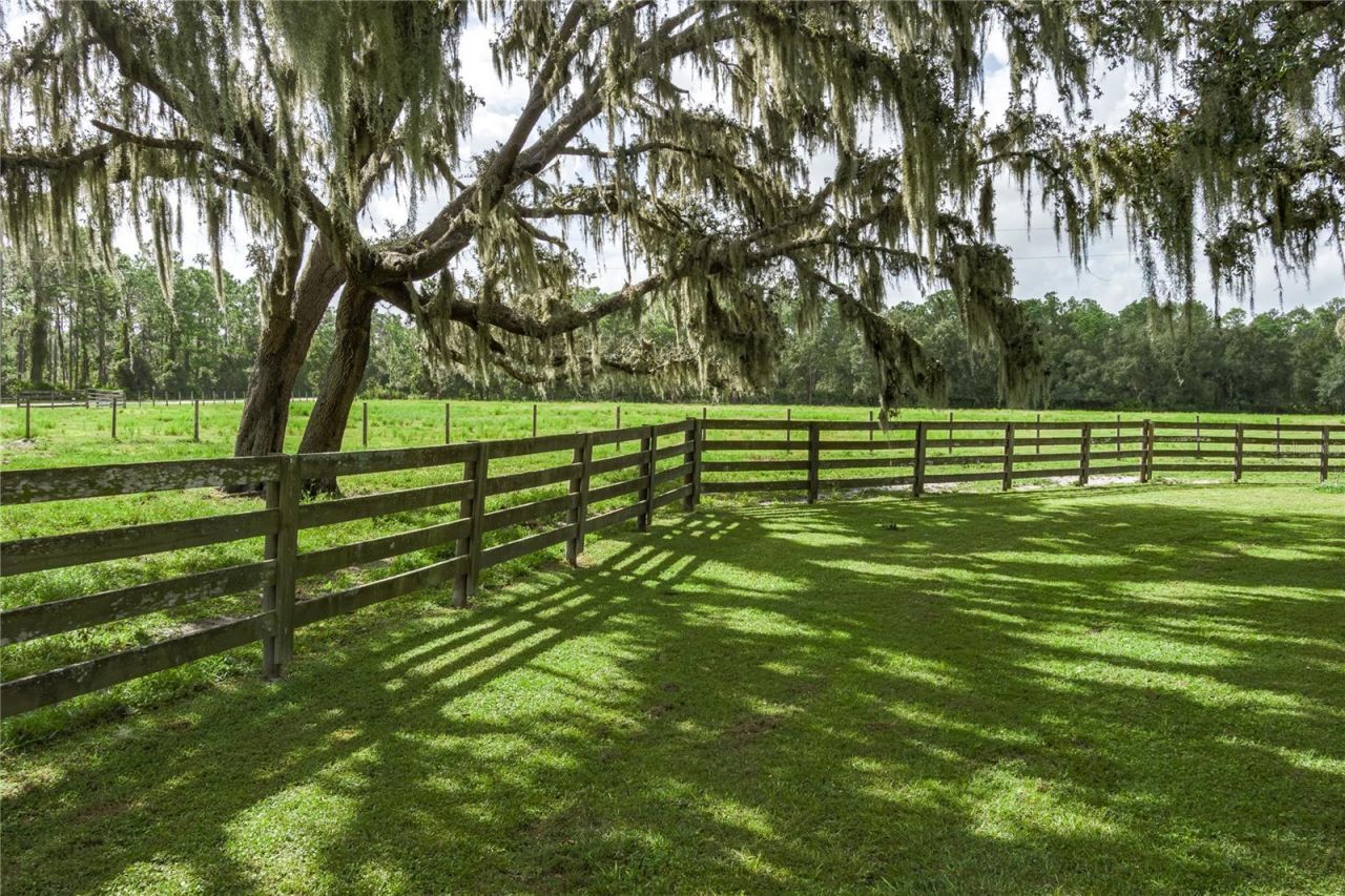 1126 County Road 665, Ona, FL 33865 Photo