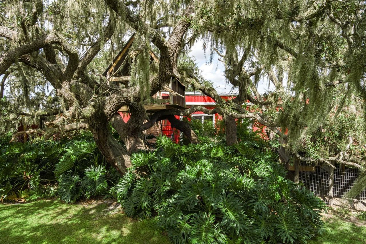 1126 County Road 665, Ona, FL 33865 Photo